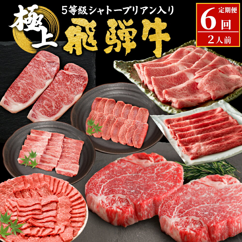 5等級シャトーブリアン入り 飛騨牛極上定期便 全6回 すき焼き しゃぶしゃぶ ステーキ 焼肉 BBQ モモ カタ ロース 肩ロース カタロース カルビ シャトーブリアン 希少部位 贅沢 6ヶ月 定期 定期便 飛騨 飛騨牛 牛 肉 和牛 黒毛和牛 ブランド牛 養老ミート