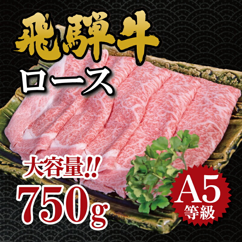 【ふるさと納税】飛騨牛　A5等級　大容量　「肉のキング」特選飛騨牛すきやき用（ロース750g）