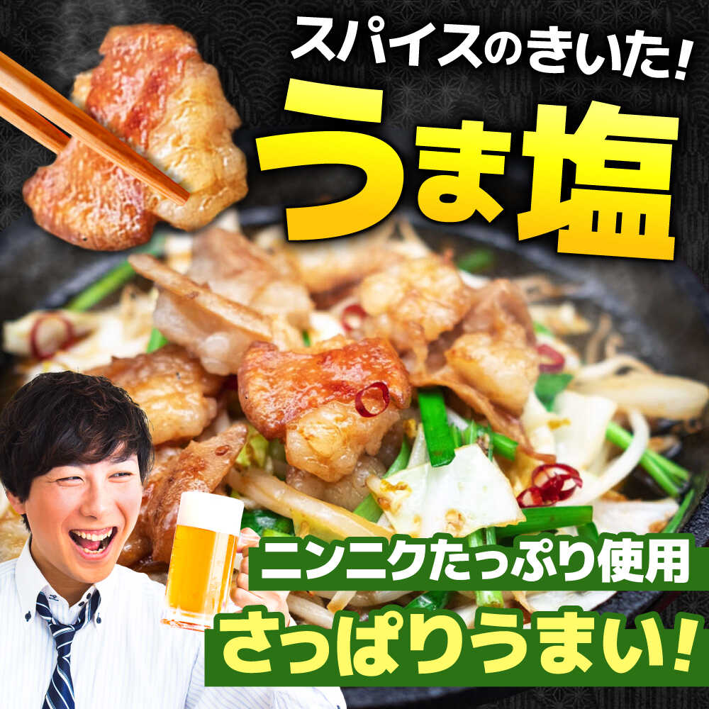 【ふるさと納税】【3回定期便】岐阜県産豚もつの鉄板焼き「元祖みたけとんちゃん」豚塩味（4人前） / モツ もつ 白もつ ホルモン / 御嵩町 / 藤よし[AVAA058]