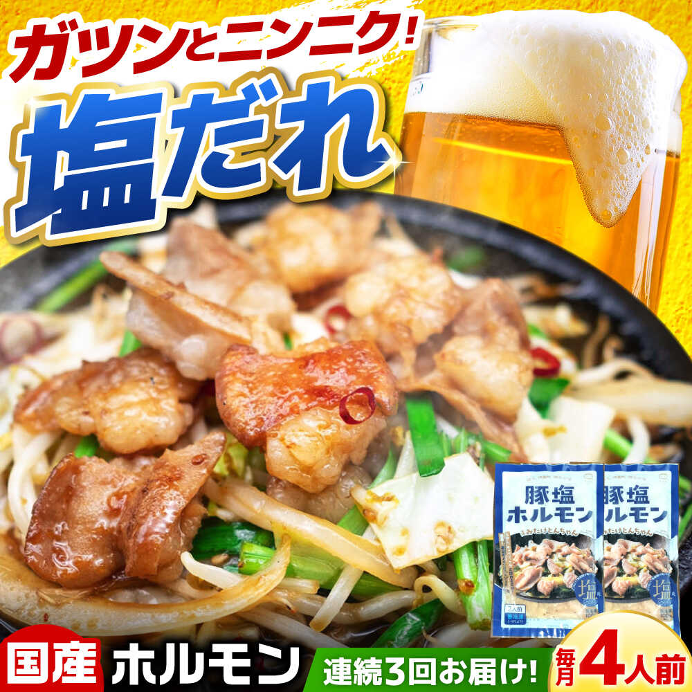 [3回定期便]岐阜県産豚もつの鉄板焼き「元祖みたけとんちゃん」豚塩味(4人前) / モツ もつ 白もつ ホルモン / 御嵩町 / 藤よし[AVAA058]