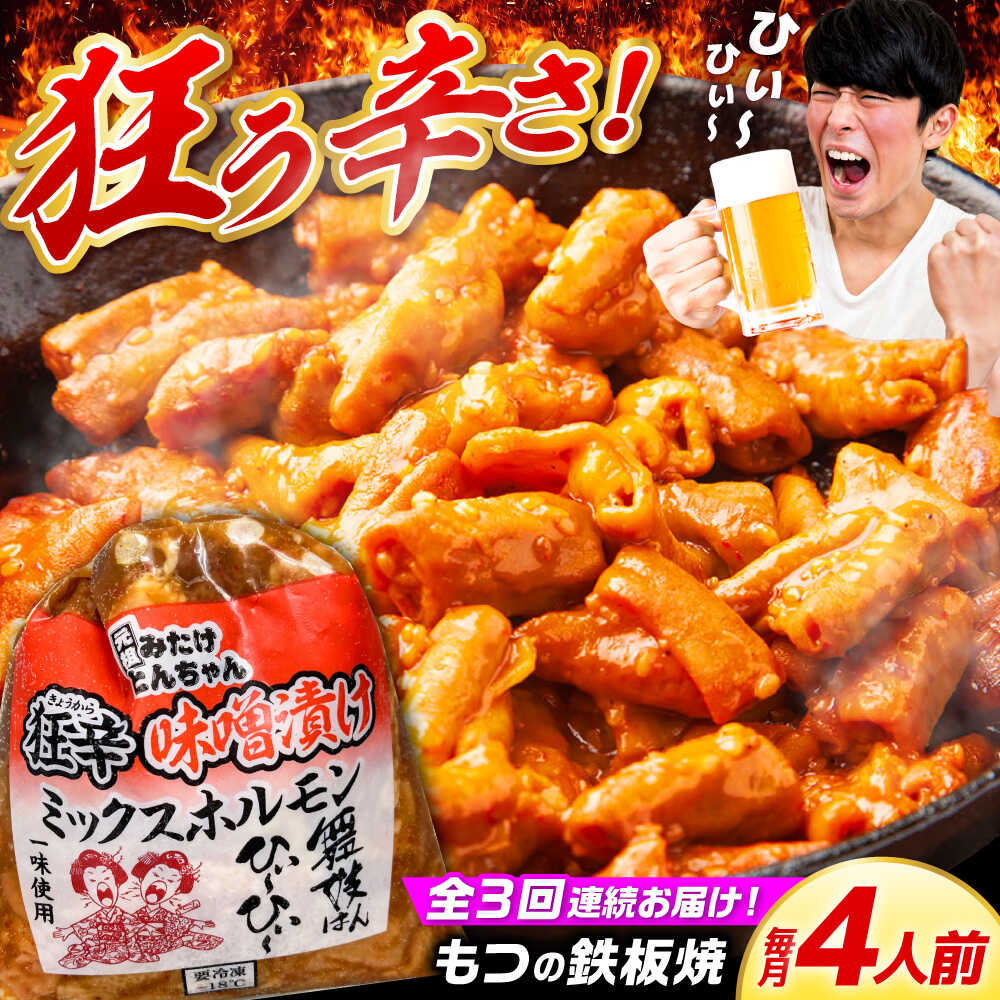 【ふるさと納税】【3回定期便】 「元祖みたけとんちゃん」 狂辛 味噌漬け ミックスホルモン 2袋 / モツ もつ 白もつ ホルモン 辛口 / 御嵩町 / 藤よし[AVAA064]