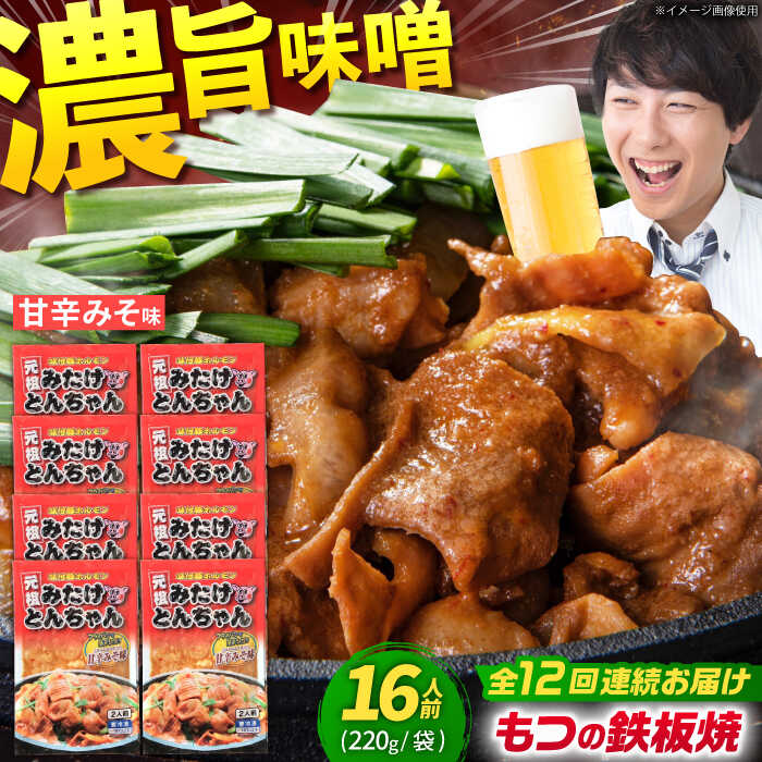 【ふるさと納税】【12回定期便】 岐阜県産豚もつの鉄板焼き「元祖みたけとんちゃん」甘辛みそ味（16人前） / モツ もつ 白もつ ホルモン / 御嵩町 / 藤よし[AVAA075]