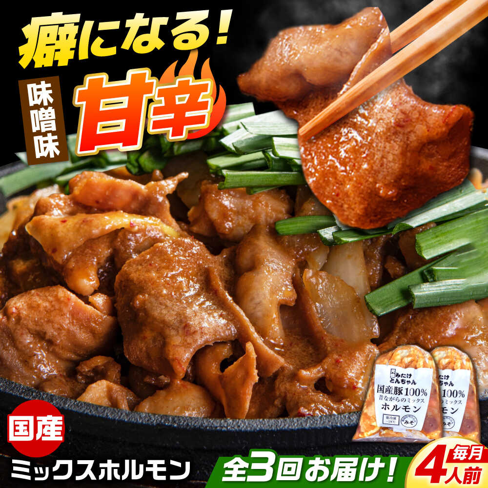 [3回定期便] 「元祖みたけとんちゃん」 昔ながらのミックスホルモン 2袋 / モツ もつ レバー ホルモン / 御嵩町 / 藤よし[AVAA082]