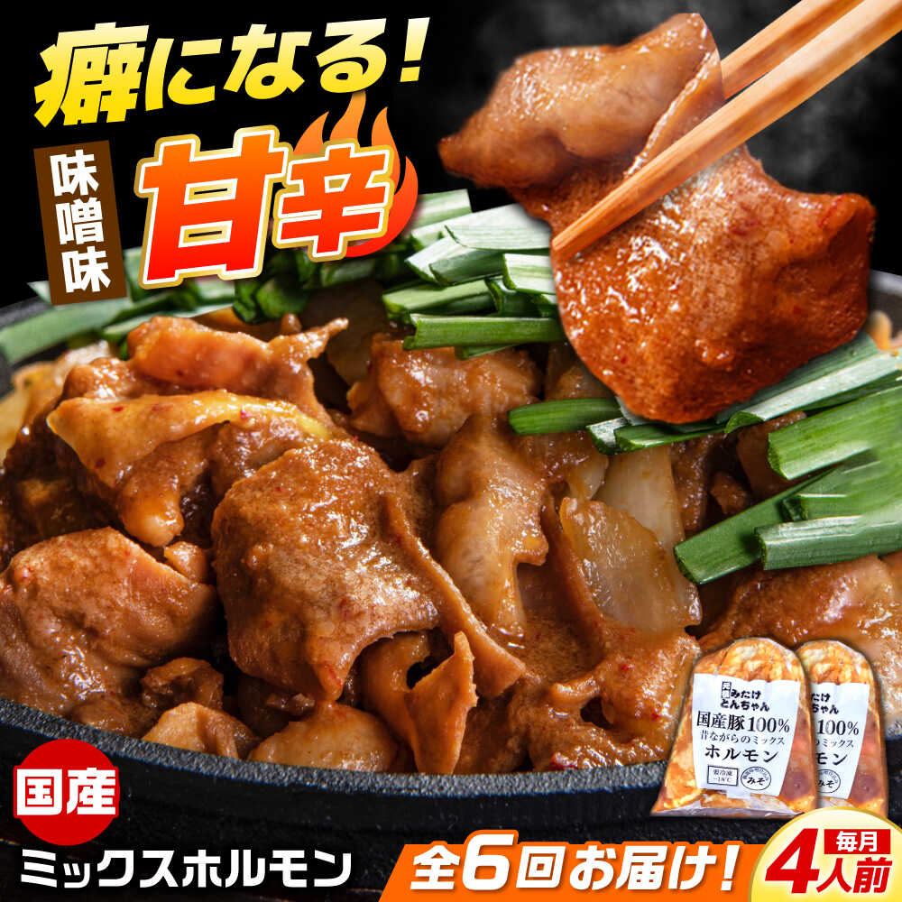 【ふるさと納税】【6回定期便】 「元祖みたけとんちゃん」 昔ながらのミックスホルモン 2袋 / モツ もつ レバー ホルモン / 御嵩町 / 藤よし[AVAA083]