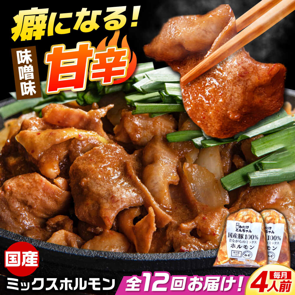 【ふるさと納税】【12回定期便】 「元祖みたけとんちゃん」 