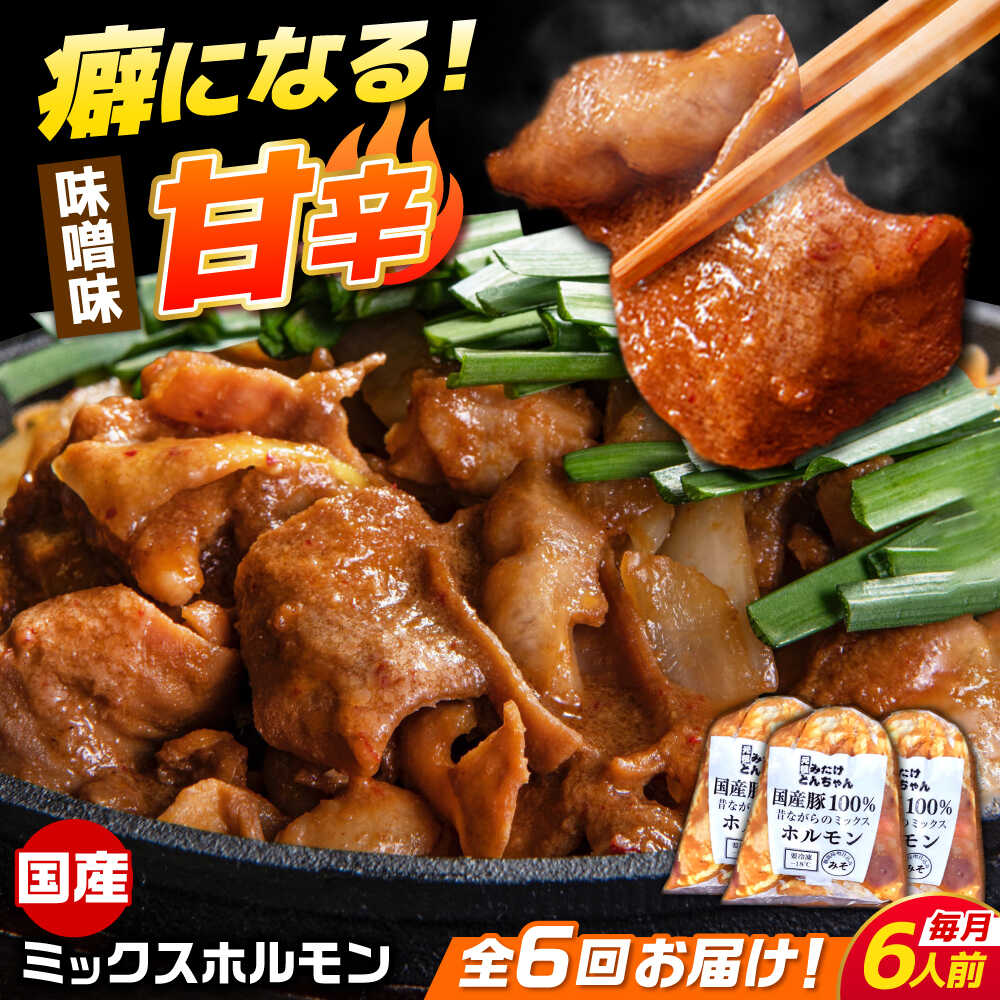 【ふるさと納税】【6回定期便】 「元祖みたけとんちゃん」 昔