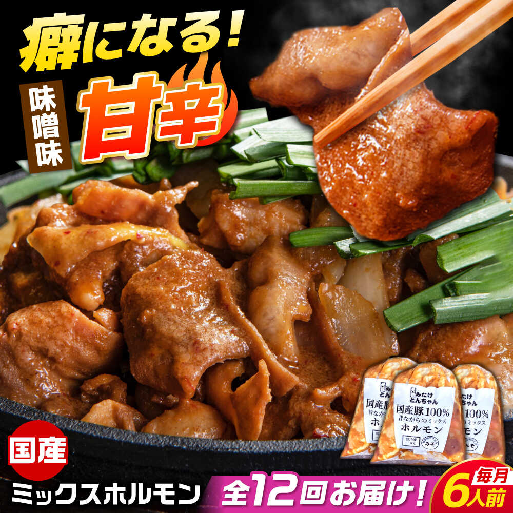 【ふるさと納税】【12回定期便】 「元祖みたけとんちゃん」 