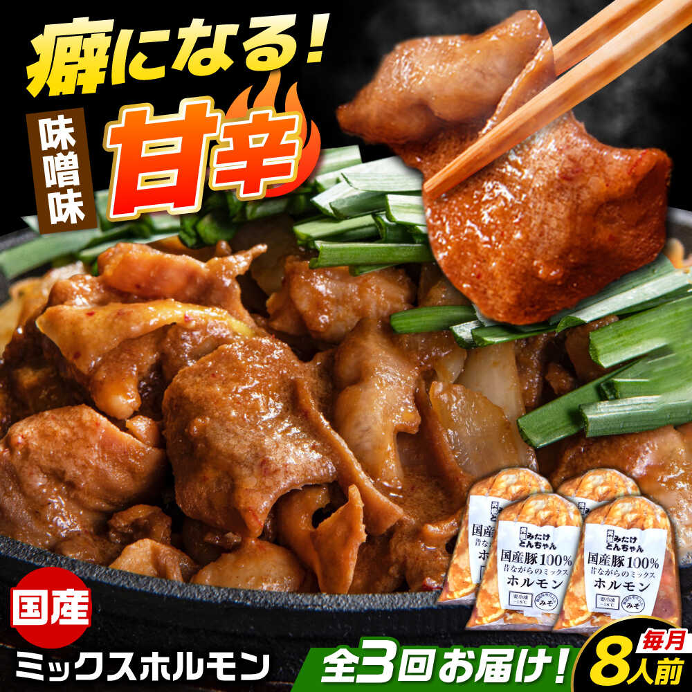 【ふるさと納税】【3回定期便】 「元祖みたけとんちゃん」 昔