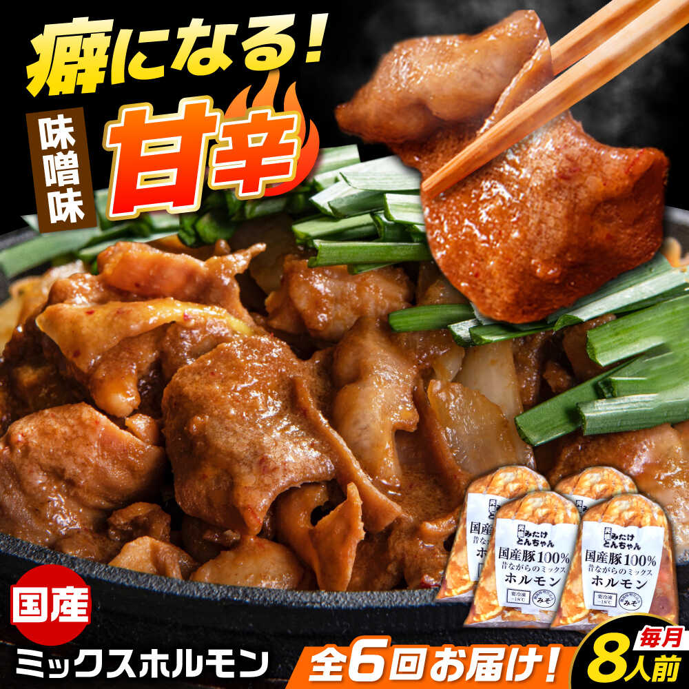 【ふるさと納税】【6回定期便】 「元祖みたけとんちゃん」 昔ながらのミックスホルモン 4袋 / モツ もつ レバー ホルモン / 御嵩町 / ..