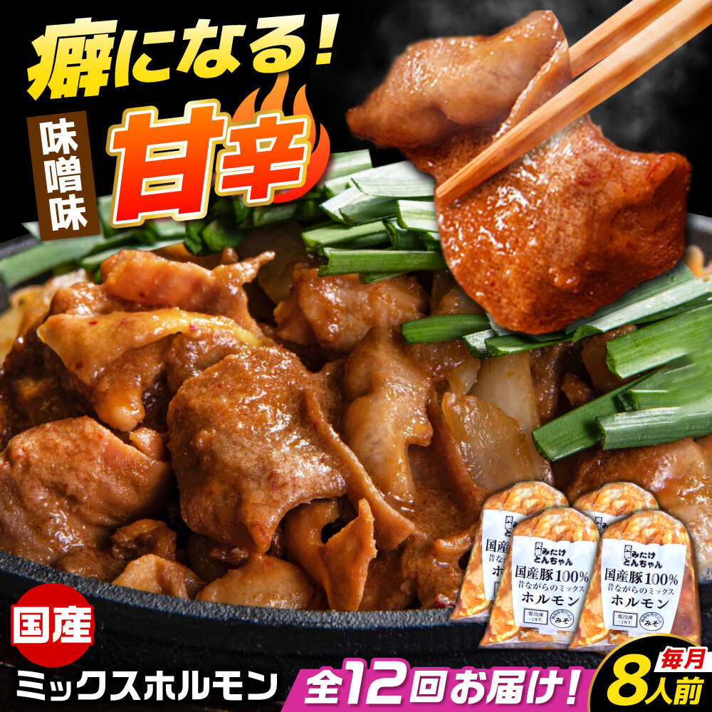 【ふるさと納税】【12回定期便】 「元祖みたけとんちゃん」 