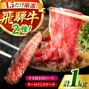 <年内発送>【ふるさと納税】飛騨牛 A5 食べ比べ 1kg 飛騨牛 ステーキ 500g & すき焼き 500g セット 肉 牛肉 和牛 冷蔵 ギフト 岐阜県 御嵩町/ 肉のキング【AVAG003】
