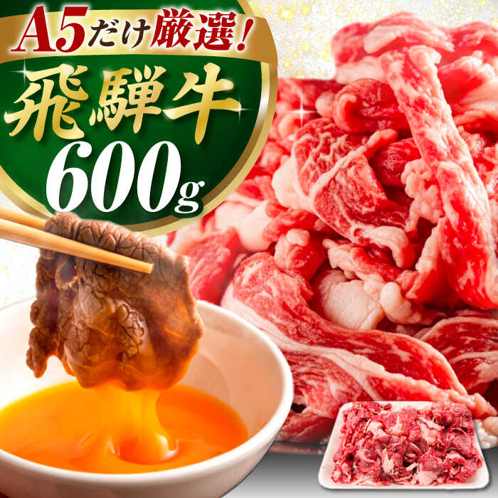 [選べる発送月]飛騨牛 切り落とし 600g / 飛騨牛 肉 お肉 切落し 不揃い A5ランク 牛肉 岐阜県 / 御嵩町 / 肉のキング[AVAG019]