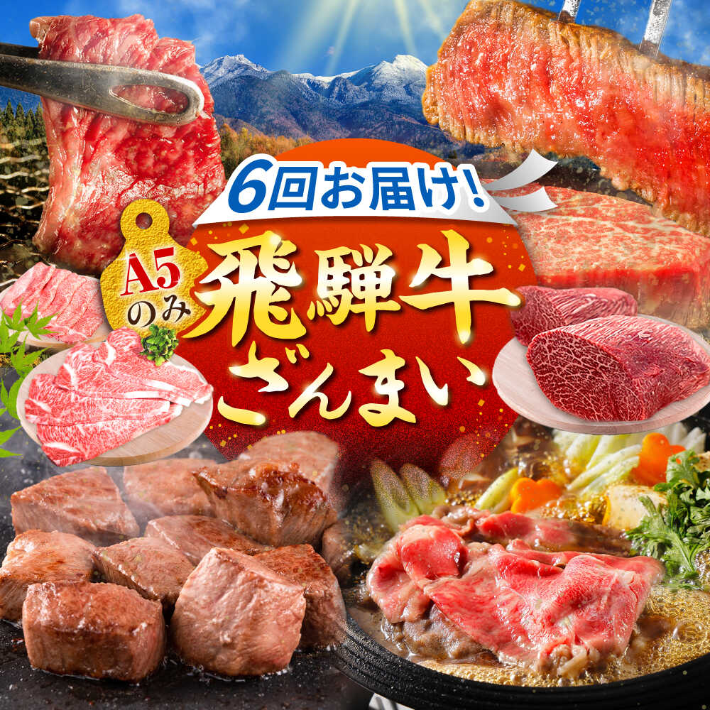 [6回定期便]肉のキング 飛騨牛満喫セット / 飛騨牛 サーロイン ステーキ 肉 詰め合わせ セット 岐阜県 / 御嵩町 / 肉のキング[AVAG020]