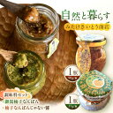 【ふるさと納税】 オリジナル辛味調味料セット 柚子胡椒「御嵩柚子なんばん」1個・醤油麹「柚子なんばんじゃない醤」1個 御嵩町 / みたけさいとう商店 [AVAZ...