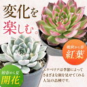 岐阜県御嵩町の画像2