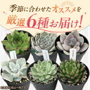 岐阜県御嵩町の画像3