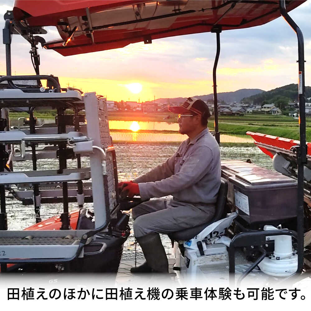 【ふるさと納税】田植え体験 ＆ れんげ畑散策 ペアチケット/田植え 体験 お米 米 ペア/御嵩町/株式会社アオキ[AVBN001]
