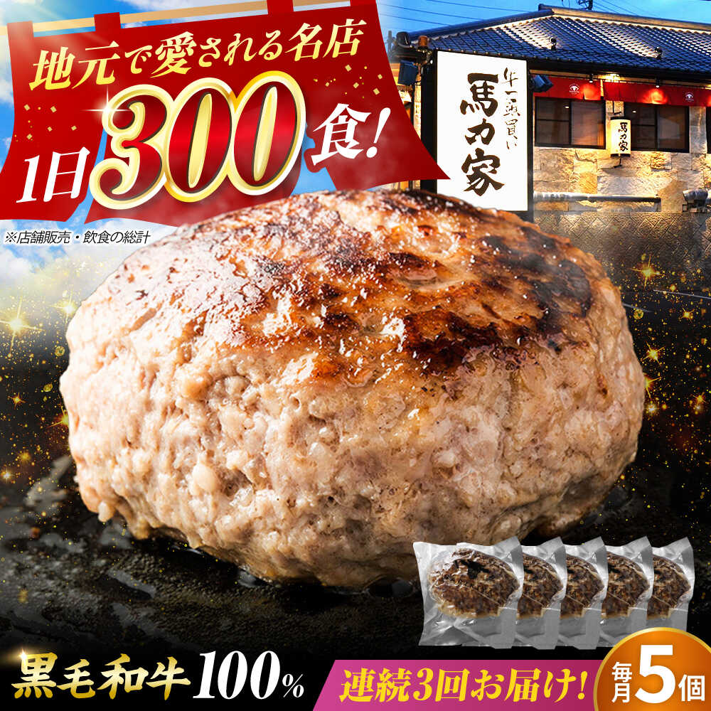 【ふるさと納税】【3回定期便】馬力家特製 ハンバーグ 5個 / 肉 牛肉 ハンバーグ / 御嵩町 / 馬力家[AVBO066]