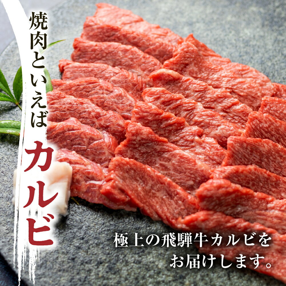 【ふるさと納税】白川郷 飛騨牛 カルビ（バラ肉）焼肉用 500g 牛肉 国産 焼き肉 A4等級以上 A4 A5 等級 高山米穀 岐阜県 白川村 贅沢 冷凍 15000円 [S335]