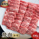 【ふるさと納税】飛騨牛 赤身 焼肉用 300g 牛肉 国産 焼き肉 A4等級以上 A4 A5 等級 高山米穀 岐阜県 白川村 白川郷 贅沢 冷凍 15000円 ...