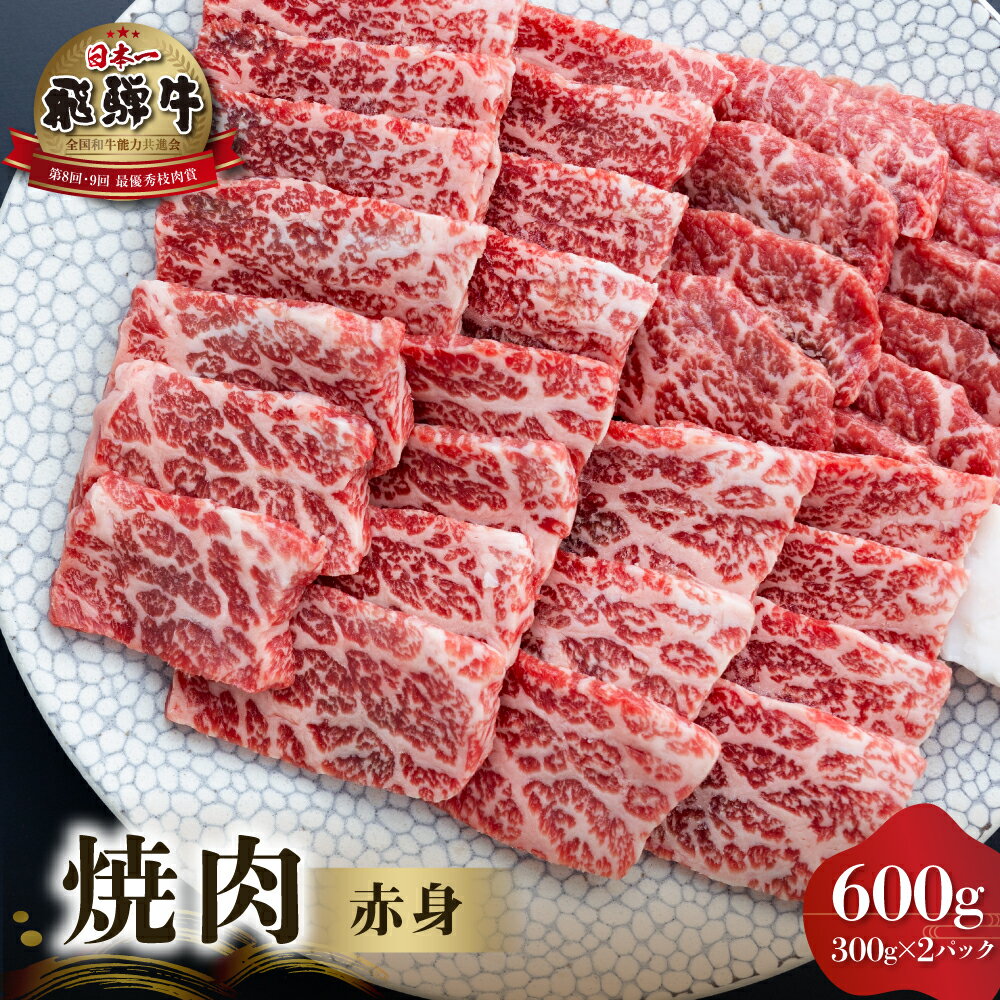 【ふるさと納税】 飛騨牛 赤身 焼肉用 600g 300g 2 牛肉 国産 焼き肉 A4等級以上 A4 A5 等級 高山米穀 岐阜県 白川村 白川郷 贅沢 冷凍 30000円 [S551]