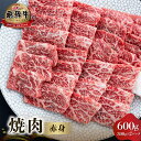 【ふるさと納税】飛騨牛 赤身 焼肉用 600g (300g×2)牛肉 国産 焼き肉 A4等級以上 A4 A5 等級 高山米穀 岐阜県 白川村 白川郷 贅沢 冷凍...
