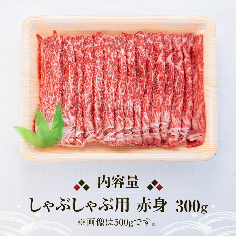 【ふるさと納税】飛騨牛 赤身 しゃぶしゃぶ用 300g 牛肉 国産 焼き肉 A4等級以上 A4 A5 等級 高山米穀 岐阜県 白川村 白川郷 贅沢 冷凍 15000円 [S558] 3