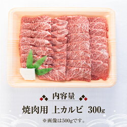 【ふるさと納税】発送時期が選べる 白川郷 飛騨牛 上カルビ 焼肉用 300g 牛肉 国産 焼き肉 霜降り A4等級以上 A4 A5 等級 高山米穀 岐阜県 白川村 贅沢 冷凍 15000円 [S566]･･･ 画像1