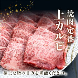 【ふるさと納税】発送時期が選べる 白川郷 飛騨牛 上カルビ 焼肉用 1kg ( 500g ×2) 牛肉 国産 焼き肉 霜降り A4等級以上 A4 A5 等級 高山米穀 岐阜県 白川村 贅沢 冷凍 50000円 [S569]･･･ 画像2