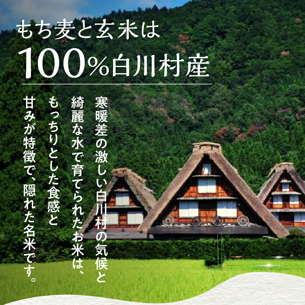 【ふるさと納税】白川村産 寝かせ玄米もち麦ごはん 8個 パックごはん パックご飯 パックライス レトルト 白川郷 こしひかり コシヒカリ 常温 防災 こめ コメ 新生活 応援 こだわりの お米 岐阜県 飛騨 高山米穀 10000円[S700] 2