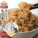 【ふるさと納税】訳あり 白川村産 寝かせ玄米もち麦ごはん 12個 24個 36個 48個 パックごはん パックご飯 パックライス レトルト 白川郷 こしひかり ...