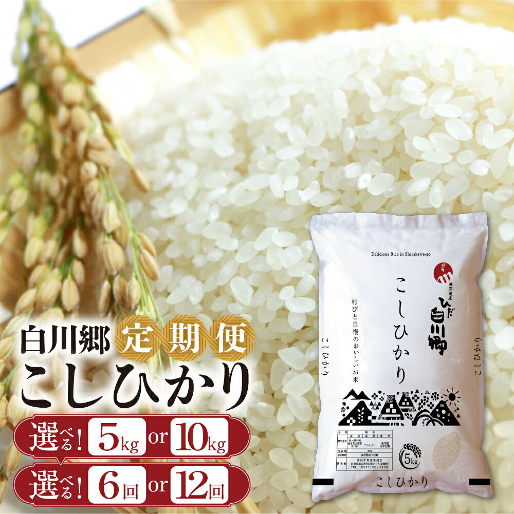 【ふるさと納税】選べる 白川郷 こしひかり 定期便 5kg 10kg 6回 12回 5キロ 10キロ 6か月 12か月 常温 こめ コメ 新生活 応援 こだわりの お米 精米 こしひかり コシヒカリ ごはん 岐阜県 飛騨 49000円 90000円 97000円 180000円 高山米穀 [S573]