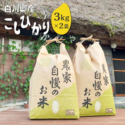 白川郷 こしひかり 3kg×2 計6kg 民宿 かんじゃ 自家製こしひかり コシヒカリ 白米 精米 令和4年産 白川村産 岐阜県産 13,000円 [S339]