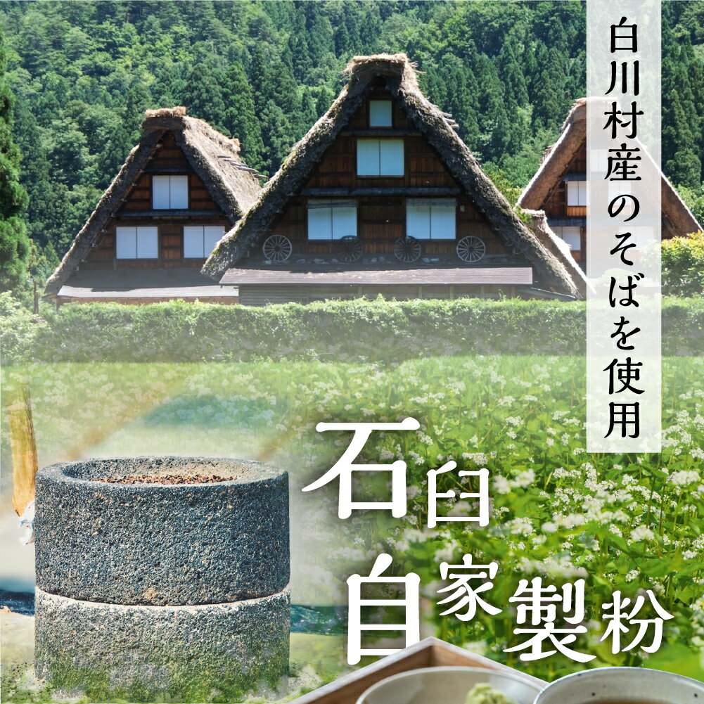 【ふるさと納税】《定期便》世界遺産白川郷そば 2～3人前 300g 2袋 3回お届け 蕎麦 半生そば 年越しそば 常温保存 岐阜県 白川村 21000円 [S638]