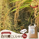 【ふるさと納税】先行予約 定期便 令和7年産 白川郷 戸ヶ野のこしひかりプレミアム 5kg 6回お届け 事前予約 こだわりのお米 精米 コシヒカリ 岐阜県 飛騨...