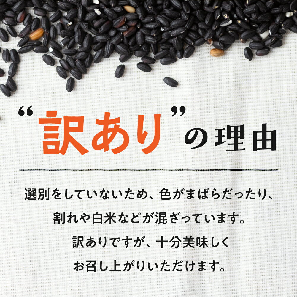 【ふるさと納税】訳あり 無選別 玄米 黒米 500g 白川郷の古代米 黒米 もち米 紫黒米 雑穀 雑穀米 国産 岐阜県 栄養豊富 観光地応援 5000円 [S442]