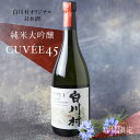 【ふるさと納税】数量限定 白川村純米大吟醸 CUVEE45 お酒 日本酒 720ml 1本 白川村産 山田錦 やまだにしき 氷温熟成 特別なお酒 地酒 世界遺産白川郷 村内限定品 渡辺酒造店 オリジナル品 13,000円 [S285]