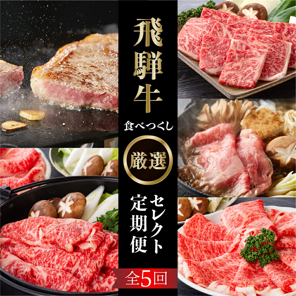 【ふるさと納税】《定期便5回》飛騨牛食べつくし厳選セレクト 5か月 焼肉 サーロイン肩ロース ロース モモ すき焼き しゃぶしゃぶ 食べ比べ 牛肉 国産 焼き肉 赤身 A4 A5 等級 だるまミート 岐阜県 白川村 贅沢 冷凍 135000円 お楽しみ [S407]