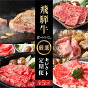 【ふるさと納税】《定期便5回》飛騨牛食べつくし厳選セレクト 5か月 焼肉 サーロイン肩ロース ロース モモ すき焼き しゃぶしゃぶ 食べ比べ 牛肉 国産 焼き肉 赤身 A4 A5 等級 だるまミート 岐…