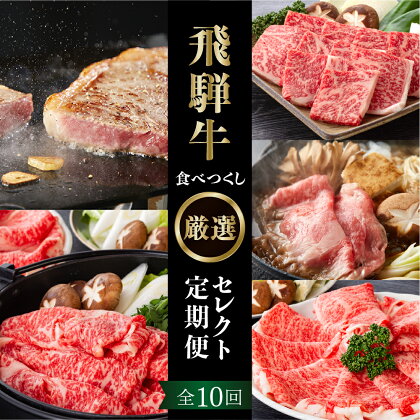 《定期便10回》飛騨牛食べつくし厳選セレクト 10か月 焼肉 サーロイン肩ロース ロース モモ すき焼き しゃぶしゃぶ 食べ比べ 牛肉 国産 焼き肉 赤身 A4 A5 等級 だるまミート 岐阜県 白川村 贅沢 冷凍 270000円 お楽しみ [S408]