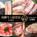 飛騨牛 【ふるさと納税】《定期便12回》飛騨牛 ＆ 結旨豚　食べきりタイプ スペシャル定期便 12か月 1年間 焼肉 サーロイン ロース モモ すき焼き しゃぶしゃぶ 牛肉 豚肉 国産 焼肉 赤身 A4 A5 豚肉 バラ ブランド豚 だるまミート 白川村 贅沢 冷凍 210000円 お楽しみ [S409]