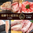 【ふるさと納税】《定期便12回》飛騨牛 ＆ 結旨豚 ボリューム満点 プレミアム 定期便 12か月 1年間 焼肉 サーロイン ロース モモ すき焼き しゃぶしゃぶ 牛肉 豚肉 国産 焼肉 赤身 A4 A5 豚肉 バラ ブランド豚 だるまミート 白川村 贅沢 冷凍 360000円 お楽しみ [S410]