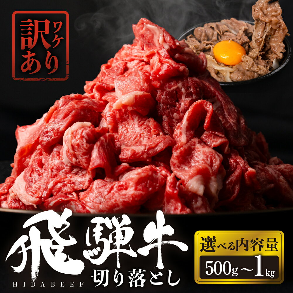 [選べる]飛騨牛 切り落とし 500g 250g×2p 750g 250g×3p 1kg 250g×4p 肉 お肉 柔らか 黒毛和牛 和牛 人気 おすすめ 牛肉 鍋 牛丼 ギフト 贈答 お取り寄せ だるまミート [s931] 10000円 1万円 14000円18000円