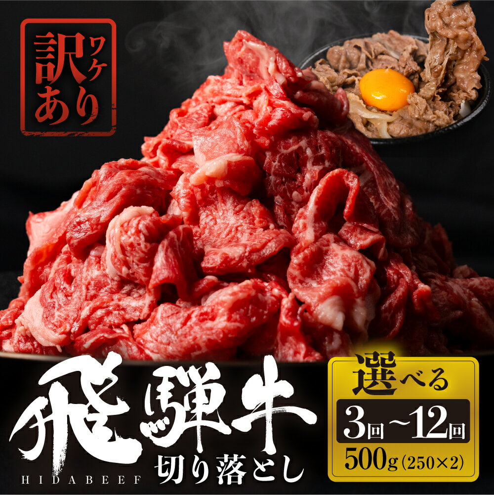 [定期便]回数を選べる 全3回or6回or12回 飛騨牛 切り落とし 500g(250g × 2) 訳あり 肉 お肉 柔らか 黒毛和牛 和牛 人気 おすすめ 牛肉 鍋 牛丼 ギフト 切り落し お取り寄せ 白川郷 すき焼き しゃぶしゃぶ 訳アリ だるまミート [s931] 30000円