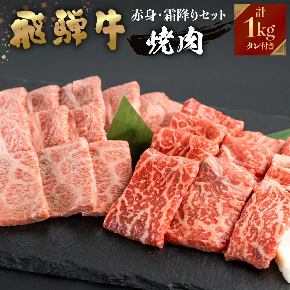 飛騨牛 牛肉 焼肉 赤身 霜降り 食べ比べ 1kg ( 500g×2種) A4等級以上バーベキュー BBQ のし対応 お祝い ギフトに 飛騨 牛 国産 和牛 黒毛 贈答 ご褒美 誕生日 記念日 ご当地 取り寄せ 40000円 [S452]