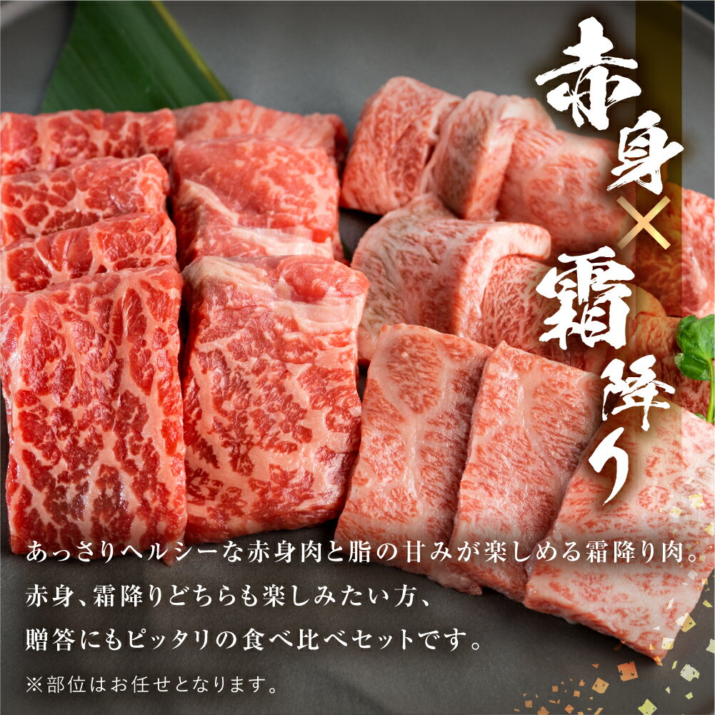 【ふるさと納税】飛騨牛 牛肉 焼肉 赤身 霜降り 食べ比べ 250g×2種 500g A4等級以上 国産　和牛 黒毛 霜降り 贈答 バーベキュー BBQ のし対応 お祝い ギフト ご褒美 誕生日 記念日 ご当地 取り寄せ 20000円 [S340]