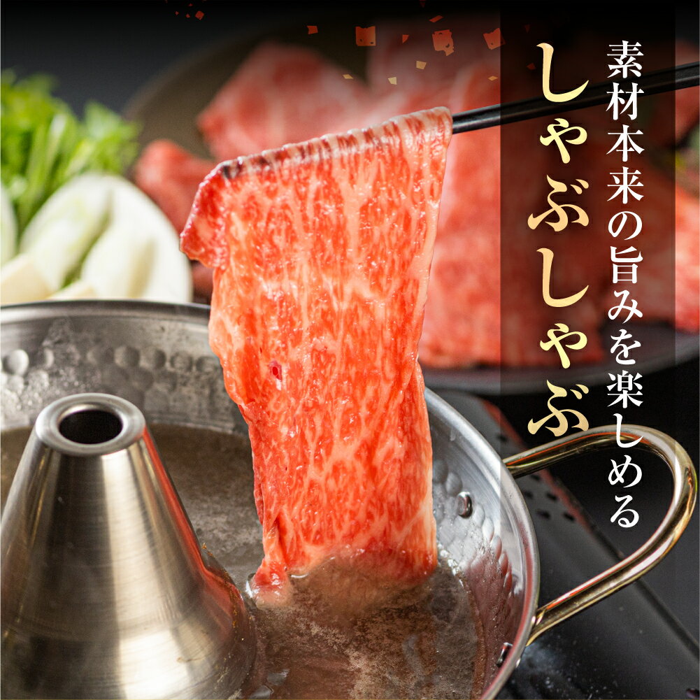 【ふるさと納税】飛騨牛 赤身 しゃぶしゃぶ用 300g 牛肉 国産 焼き肉 A4等級以上 A4 A5 等級 高山米穀 岐阜県 白川村 白川郷 贅沢 冷凍 15000円 [S558] 2