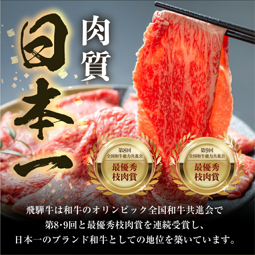 【ふるさと納税】飛騨牛 すき焼き 食べ比べ 1kg (500g×2）肩 ロース 肉 もも 赤身 霜降り すきやき しゃぶしゃぶ 飛騨 鍋 家族 友人と 牛肉 国産 岐阜県 黒毛和牛 和牛 A4 贅沢 祝 プレゼント 冷凍 人気 おすすめ ランキング お歳暮 ギフト JA ひだ [S114]