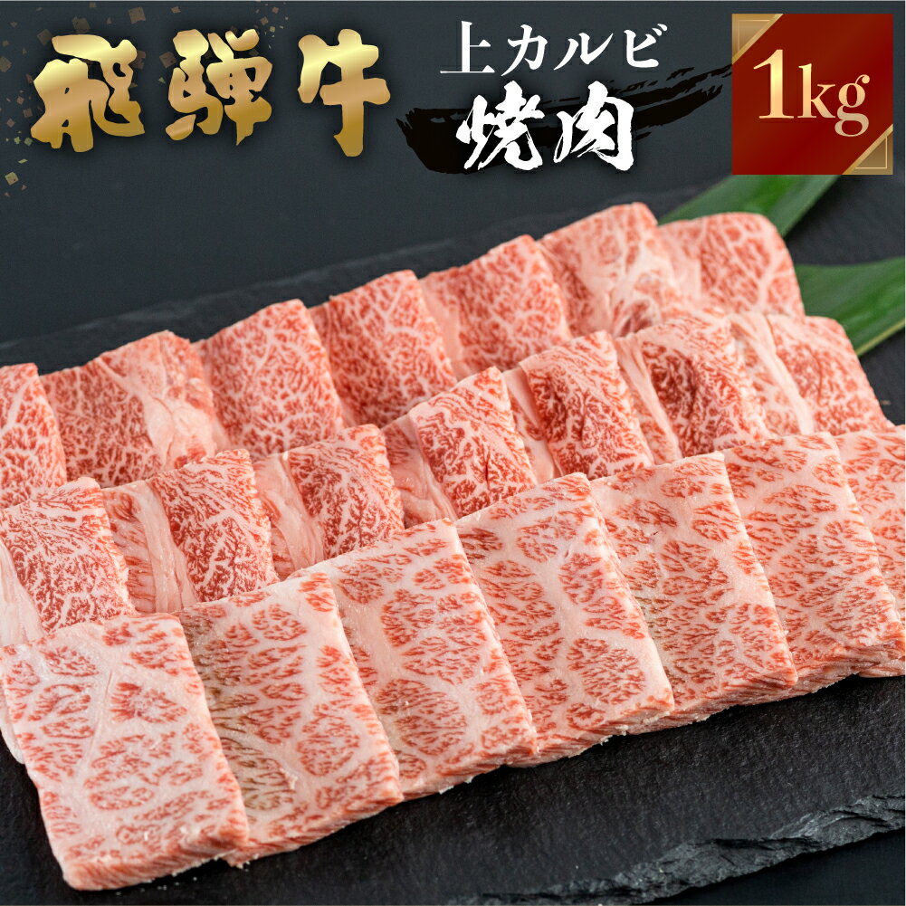 飛騨牛 焼肉用 上カルビ 1kg ( 500g ×2) 焼き肉 焼肉 お中元 お歳暮 霜降り 肉 牛肉 霜降り肉 JA飛騨 BBQ バーベキュー お歳暮 ギフト 飛騨 牛 国産 和牛 黒毛 贈答 ご褒美 誕生日 記念日 ご当地 取り寄せ 40000円 [S447]