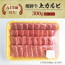 岐阜県白川村の画像2